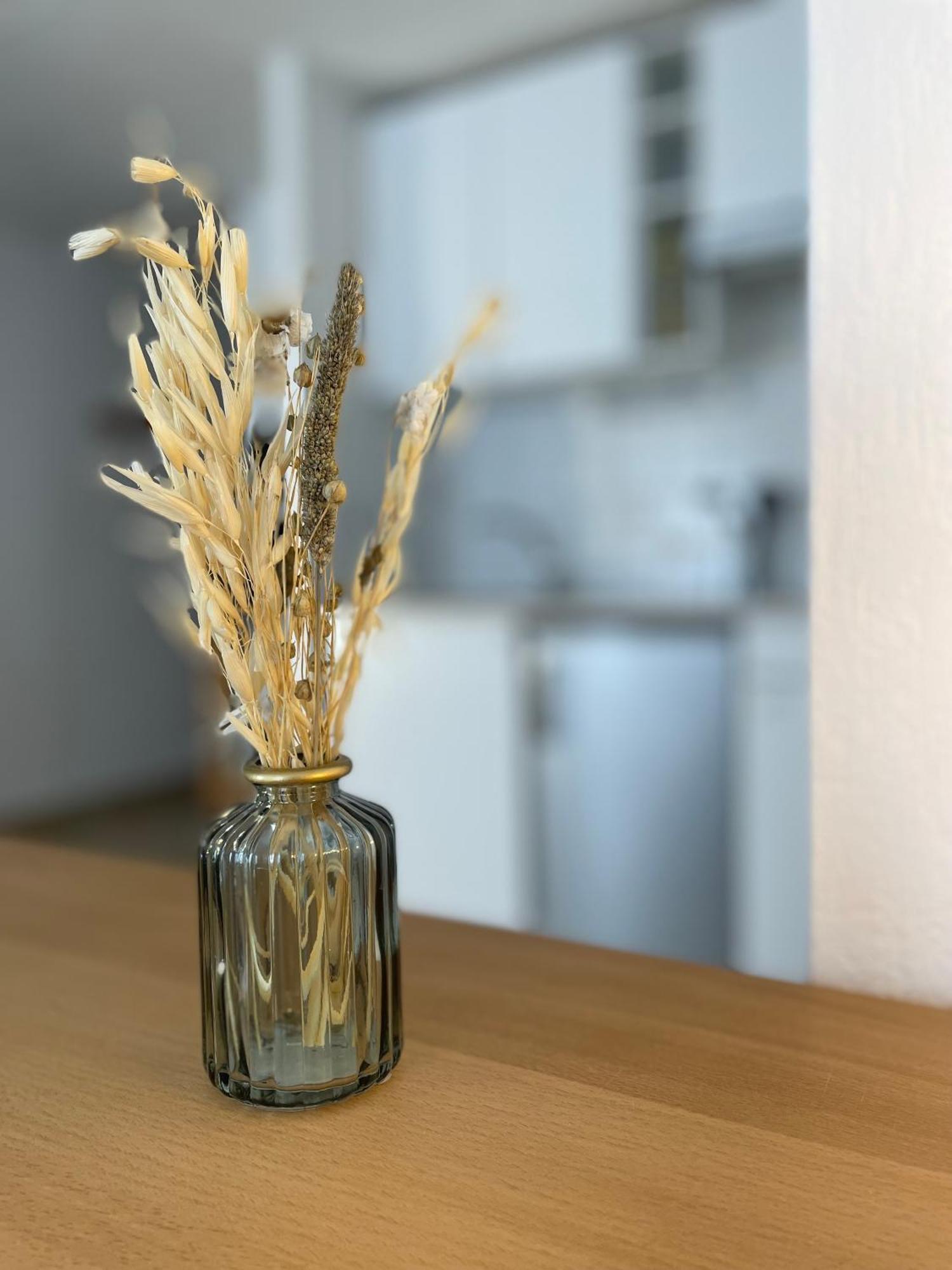 Spacieux Studio « Boheme » Digne-les-Bains Exteriör bild